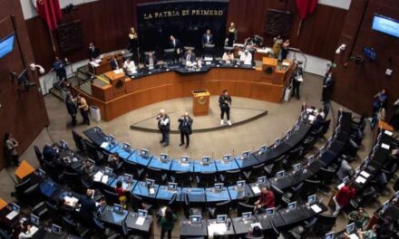 Senadores rechazan el nombramiento de Ricardo Salgado como comisionado del Inai