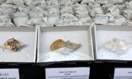 Hong Kong incauta millonario cargamento de metanfetamina oculta en costales de Segalmex
