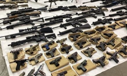 Una corte de apelaciones afirma que sí puede demandar a los fabricantes de armas en EE UU