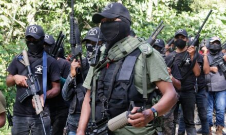 Empresas Turísticas Suspenden Visitas a Selva Lacandona, Chiapas, por Creciente Violencia entre Cárteles de la Droga