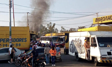 Cae aeronave particular en Coyoacán, CDMX; piloto habría evitado estrellarse con un mercado