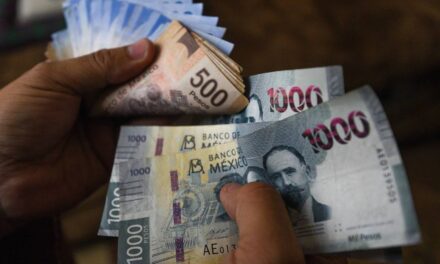 SERÁ DIFICIL ESTABILIZAR LA DEUDA, SOLO SERÍA CON RECORTES AL GASTO