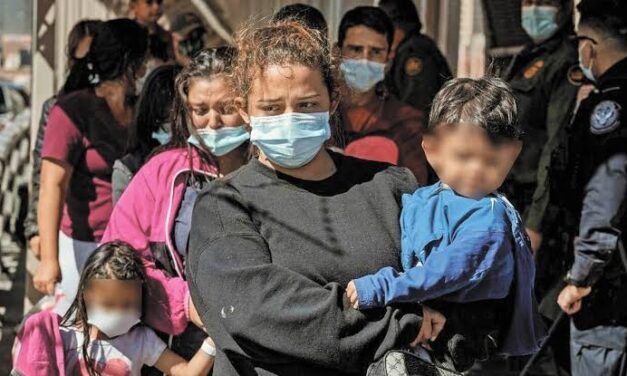 CARENCIAS Y DESIGUALDADES, PRINCIPALES DESAFÍOS DE LA MATERNIDAD EN MEXICO: EALY INSTITUTE