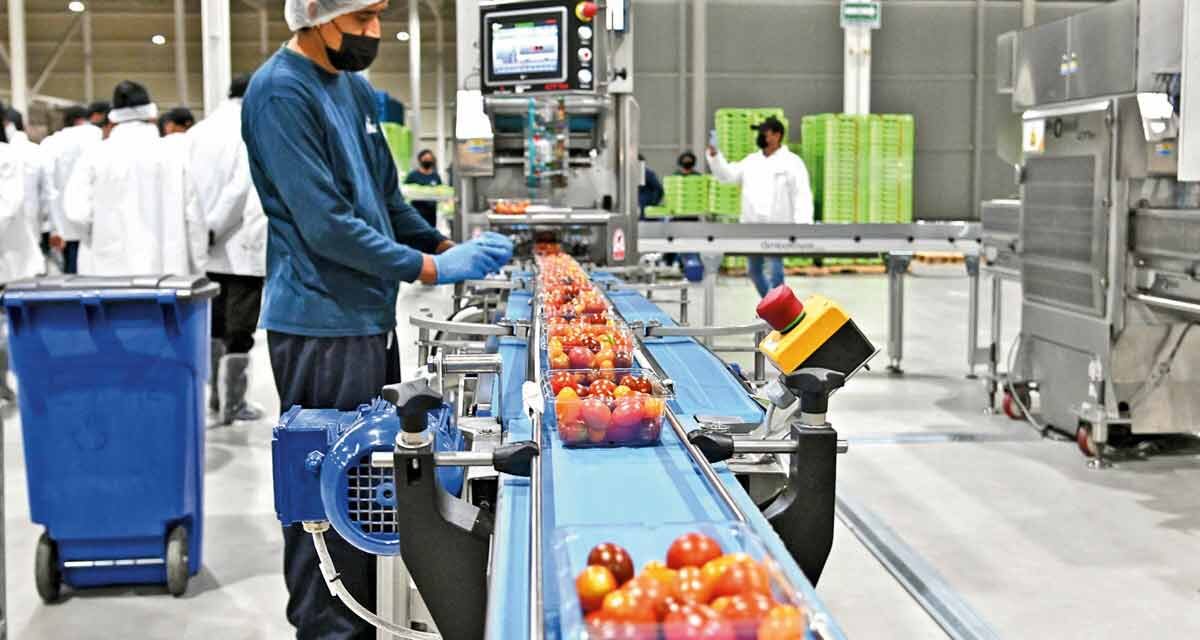 LA IED QUE FESTEJA EL GOBIERNO NO CORRESPONDE A NUEVAS INVERSIONES
