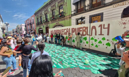 Congreso de Puebla despenaliza aborto dentro de las 12 semanas de gestación