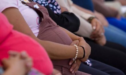 MATERNIDAD EN MEXICO, ENTRE UN ESTADO CLAUDICANTE Y LA VULNERACIÓN DE DERECHOS DE LAS MUJERES
