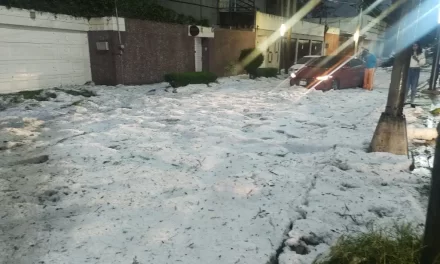 Se pinta de blanco la alcaldía Álvaro Obregón