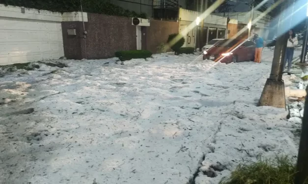 Se pinta de blanco la alcaldía Álvaro Obregón