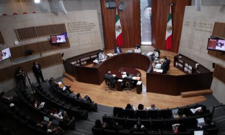LA DECISIÓN DEL TRIBUNAL ELECTORAL NO ES DEFINITIVA
