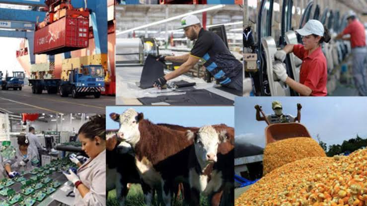 Actividad económica repunta más de lo estimado en julio, impulsada por el sector primario