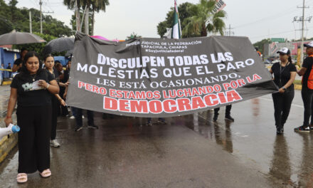 El regalo de despedida de Morena a AMLO va encaminado: las reformas constitucionales