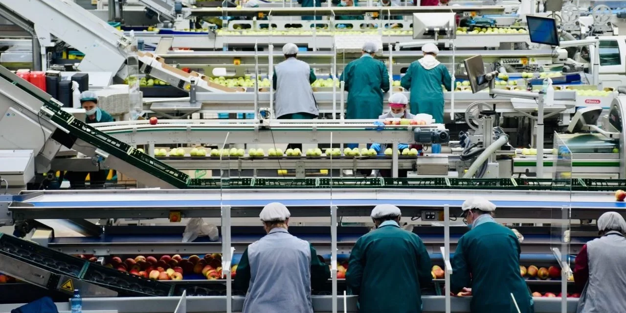 Se reduce la confianza del consumidor y cae la actividad industrial