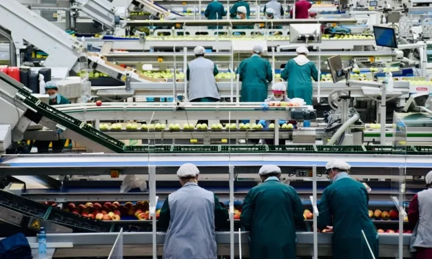 Se reduce la confianza del consumidor y cae la actividad industrial