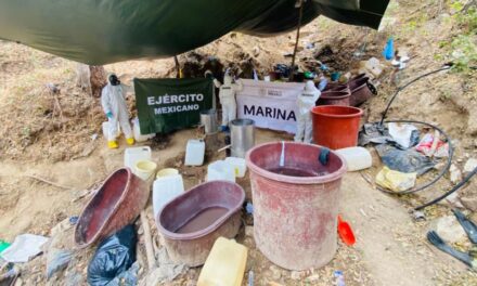 Destruye Semar narcolaboratorio de “El Mayo”
