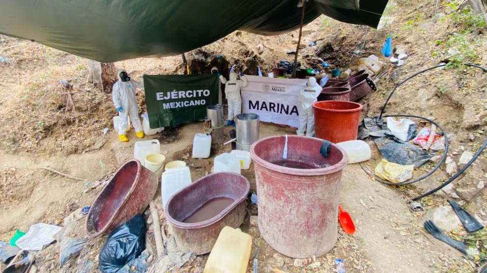 Destruye Semar narcolaboratorio de “El Mayo”