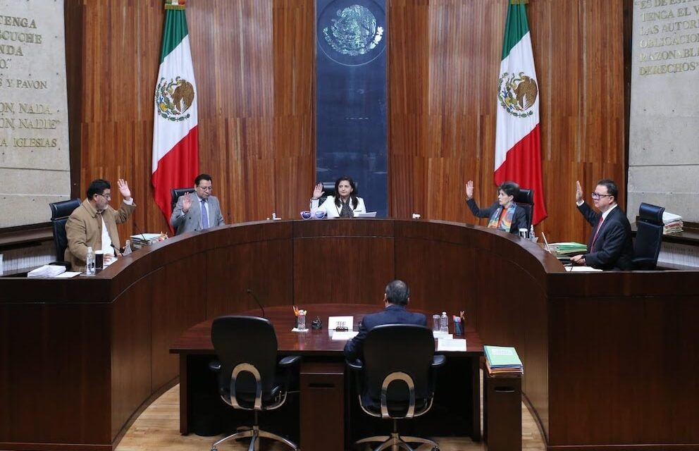 TEPJF ordena al comité de evaluación reactivar proceso de selección para elección judicial