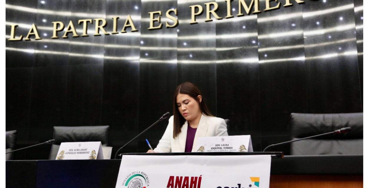 GARANTIZAR DERECHOS Y PROTECCIÓN A LA PRIMERA INFANCIA, PRINCIPAL COMPROMISO DEL SENADO: ANAHÍ GONZÁLEZ