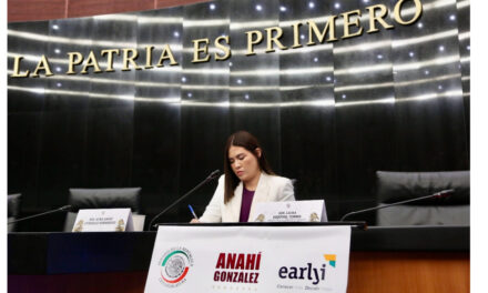 GARANTIZAR DERECHOS Y PROTECCIÓN A LA PRIMERA INFANCIA, PRINCIPAL COMPROMISO DEL SENADO: ANAHÍ GONZÁLEZ