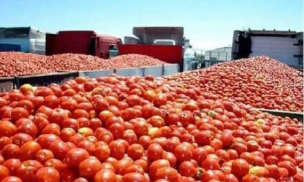 Aranceles a jitomates provienen de cuotas compensatorias y no de aranceles recíprocos, apunta titular de Secretaría de Agricultura y Desarrollo Rural