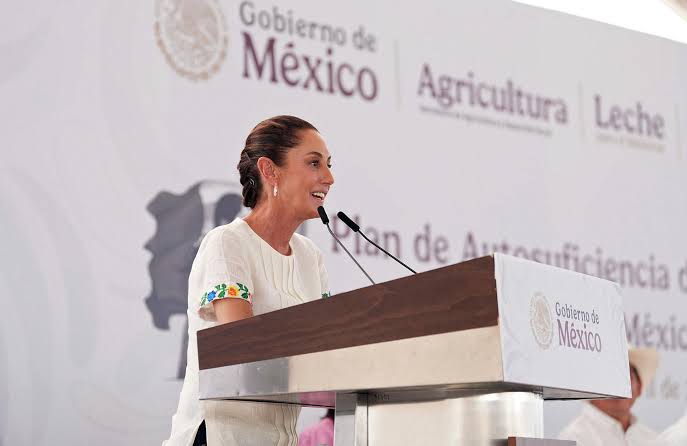 Expresidente Zedillo dice que en México la “democracia ha muerto”; Sheinbaum le responde