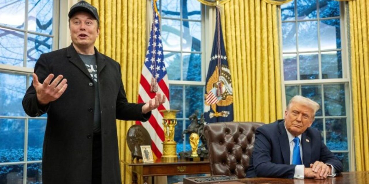 Musk habría dejado su puesto como asesor de Trump