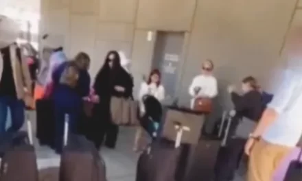 Llegan familiares del “Chapo” Guzmán a Estados Unidos; cruzaron a pie por Tijuana y agentes ya los estaban esperando