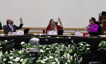 Declara INE validez de la elección judicial