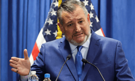 México rechaza ‘oferta’ del senador estadounidense Ted Cruz para combatir cárteles de droga