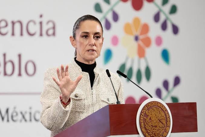 Secretaría Anticorrupción definirá si titular de la Agencia de Investigación Aduanera sigue en el cargo tras investigación por lavado de dinero, dice CSP