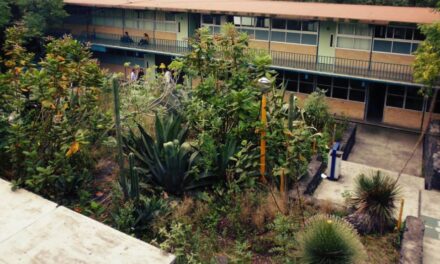 Alumno mata a compañero del CCH Sur
