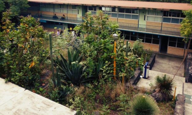 Alumno mata a compañero del CCH Sur