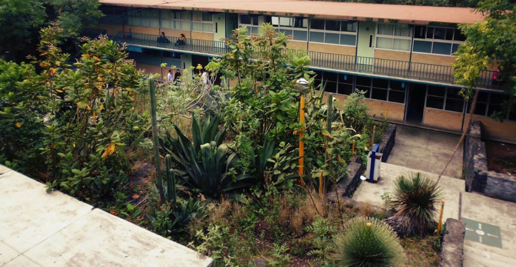 Alumno mata a compañero del CCH Sur