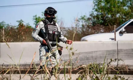 Ataque a fuerzas federales en Guasave deja 13 agresores muertos