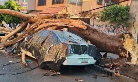 El sismo de esta mañana en imágenes: Acapulco, San Marcos y CDMX
