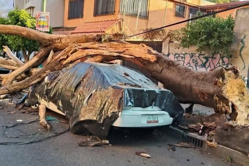 El sismo de esta mañana en imágenes: Acapulco, San Marcos y CDMX