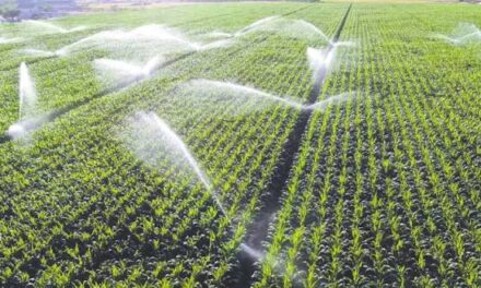 El campo sale a la Bolsa: colocan 7 mil millones para financiar al agro mexicano