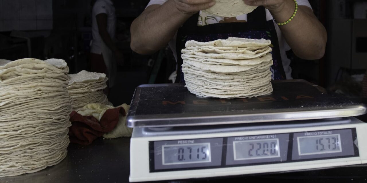 Tortilla en México: sube el costo y crece la confusión