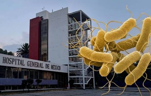 Brote de salmonella en Hospital General de México afecta a más de 100 médicos residentes