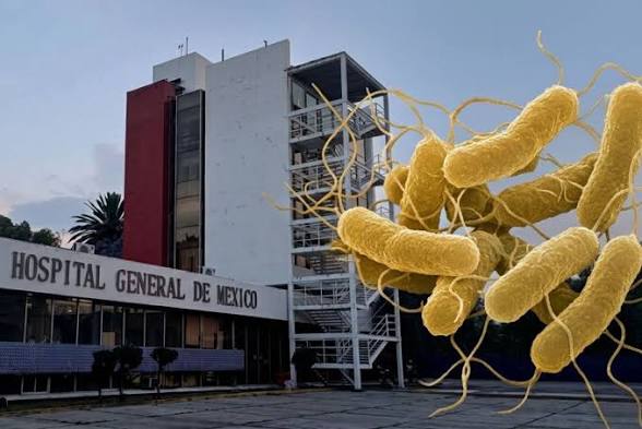 Brote de salmonella en Hospital General de México afecta a más de 100 médicos residentes