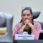 Guadalupe Taddei renuncia al INE; anunció la tarde de este domingo que mañana presentará su renuncia ante la cámara de Diputados