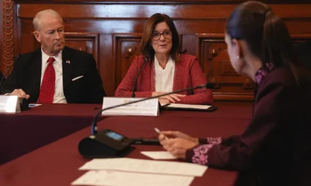 T-MEC, seguridad y frontera, los temas que abordaron CSP y Johnson