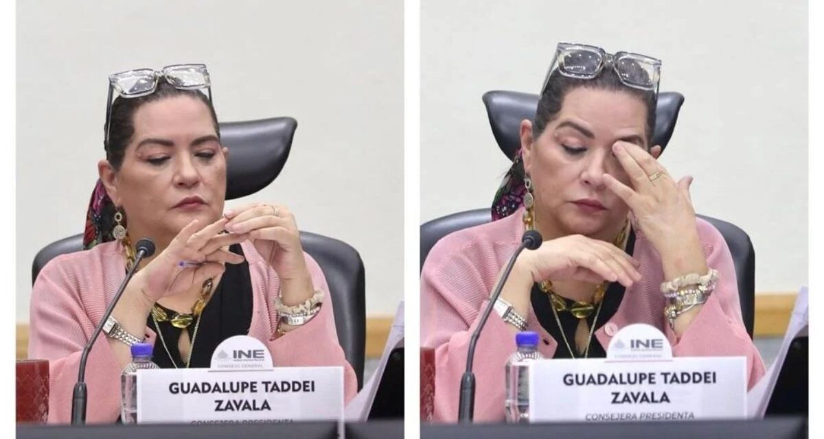 Cayó Taddei: UIF y ASF investigan red de contratos por más de mil mdp en el INE y OPLEs